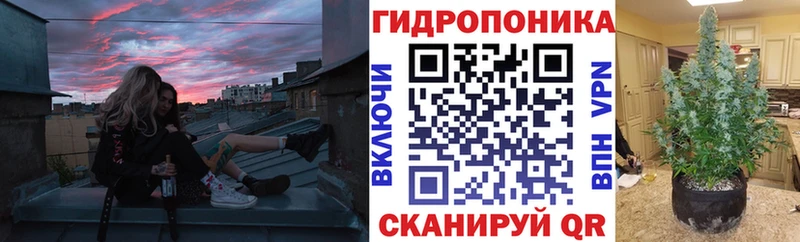 Каннабис индика  Печоры 